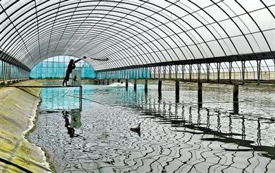 綠色農業(yè),迎來發(fā)展新契機